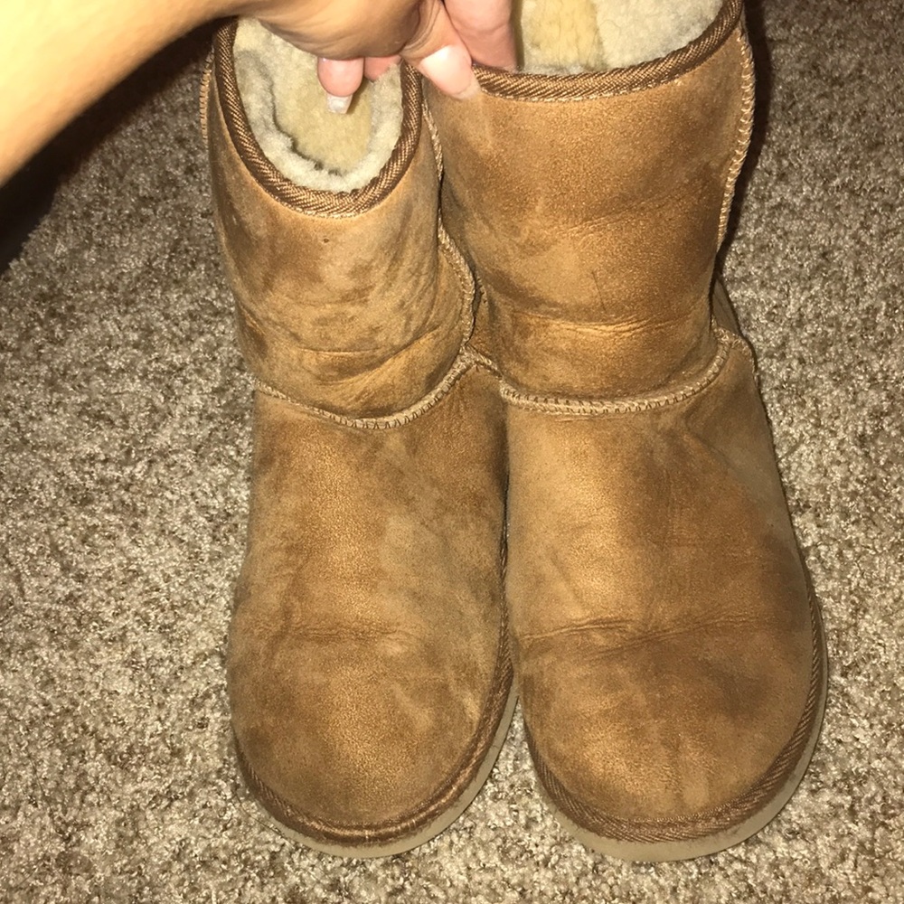 Chestnut Uggs Size 6